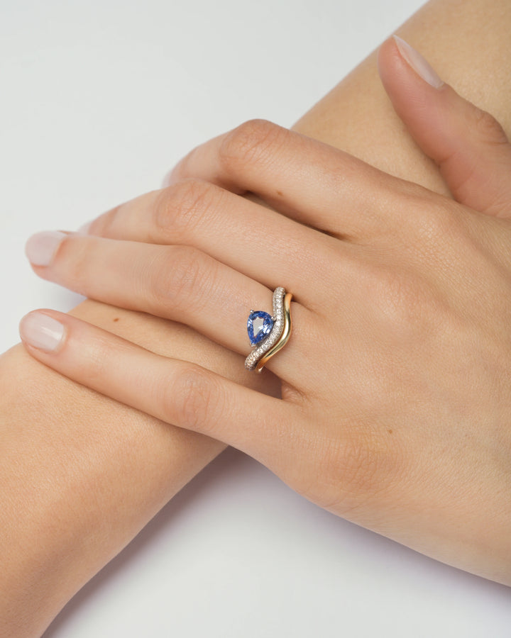 Tempérance N.14, Ring